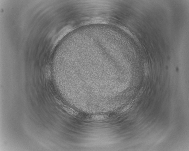 X0000070881266200607150137