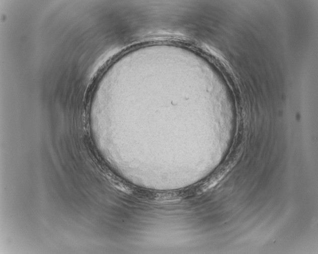 X0000070881267200607150137