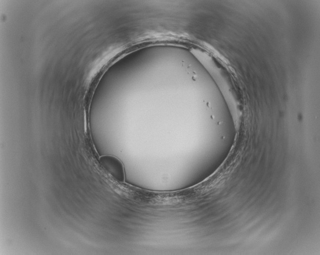 X0000070881269200607150137