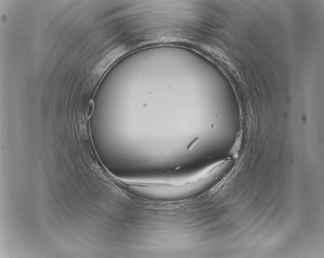 X0000070881273200607150137