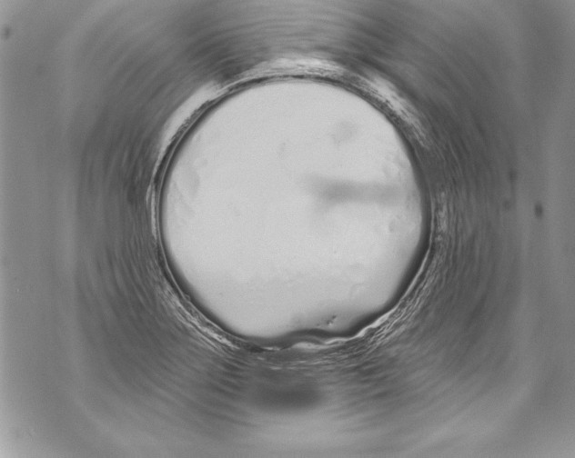 X0000070881275200607150137