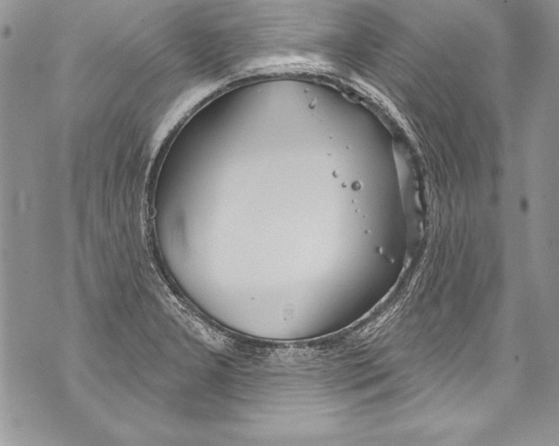 X0000070881277200607150137