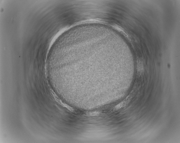 X0000070881278200607150137