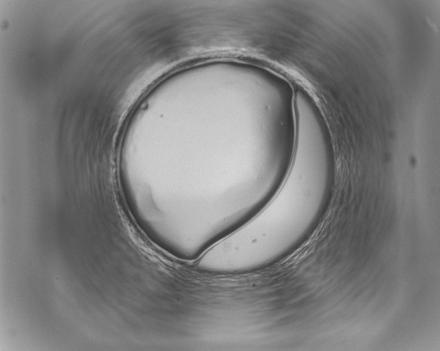 X0000070881279200607150137