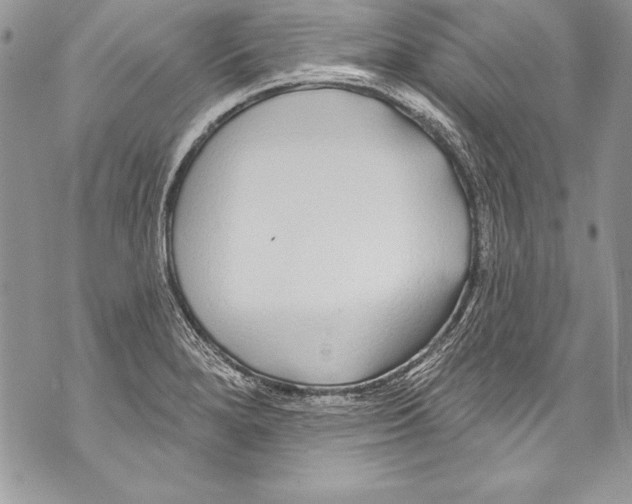 X0000070881280200607150137