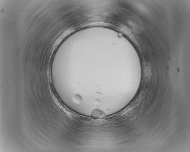 X0000070881282200607150137