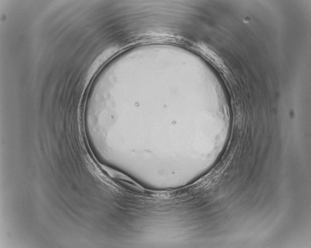 X0000070881283200607150137