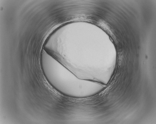 X0000070881284200607150137