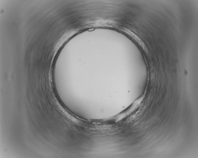 X0000070881285200607150137