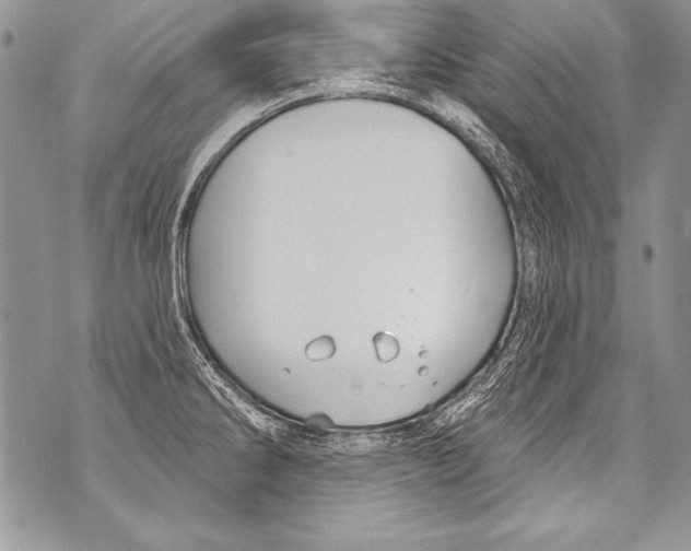 X0000070881286200607150137