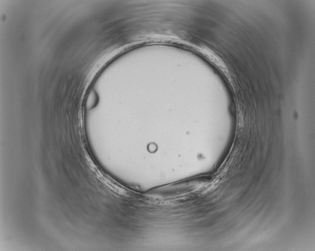 X0000070881287200607150137