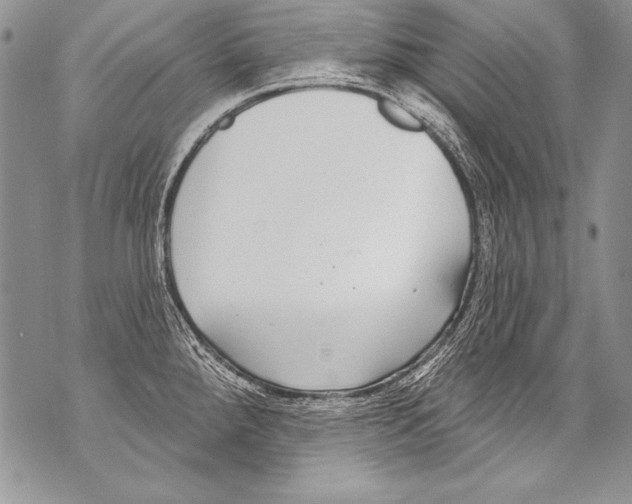 X0000070881288200607150137