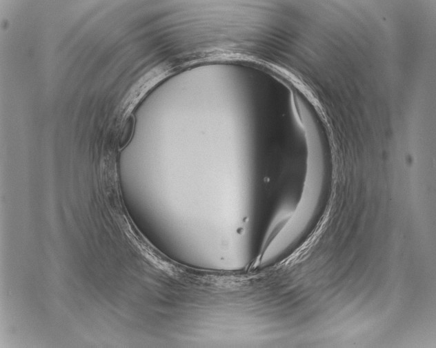 X0000070881289200607150137