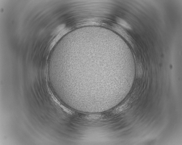 X0000070881290200607150137