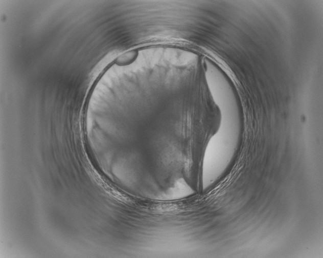 X0000070881291200607150137