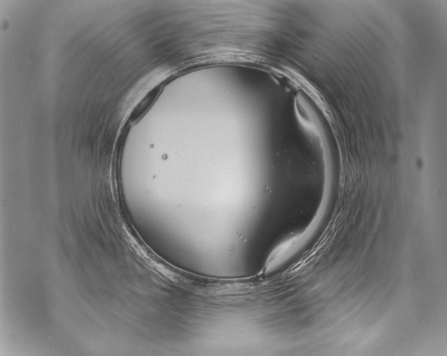 X0000070881293200607150137