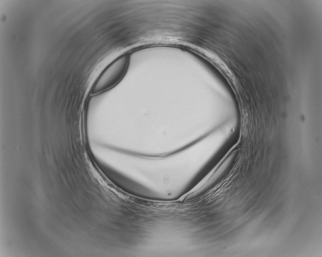 X0000070881295200607150137