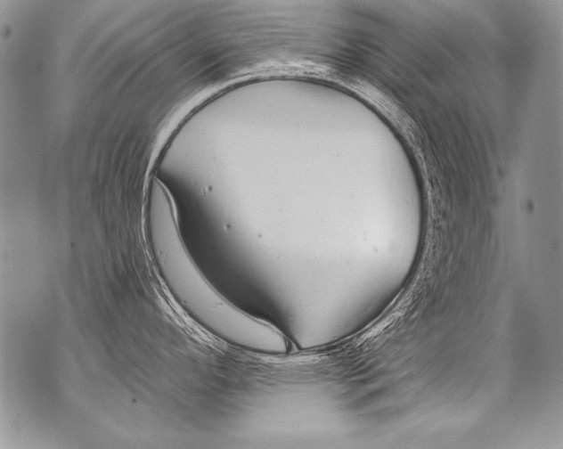 X0000070881296200607150137