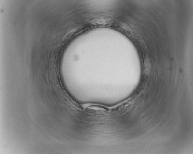 X0000070881297200607150136