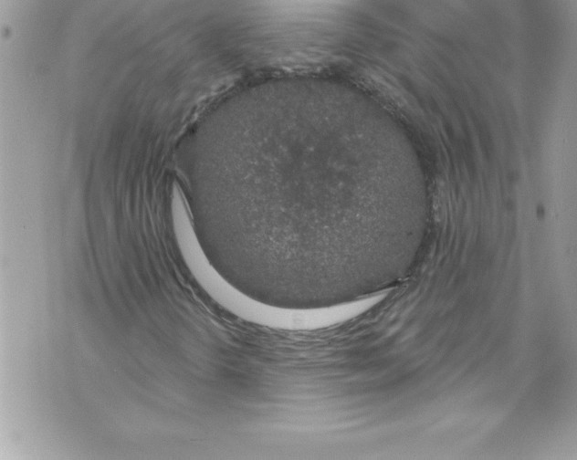 X0000070881298200607150136