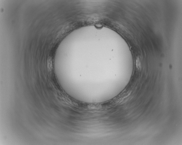 X0000070881299200607150136