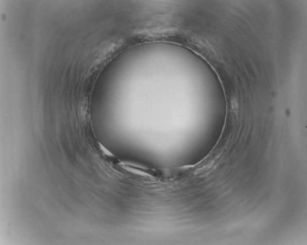 X0000070881300200607150136