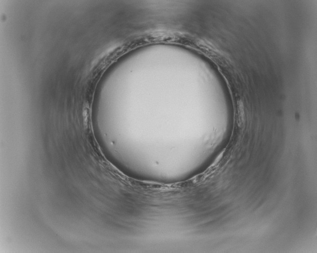 X0000070881302200607150136