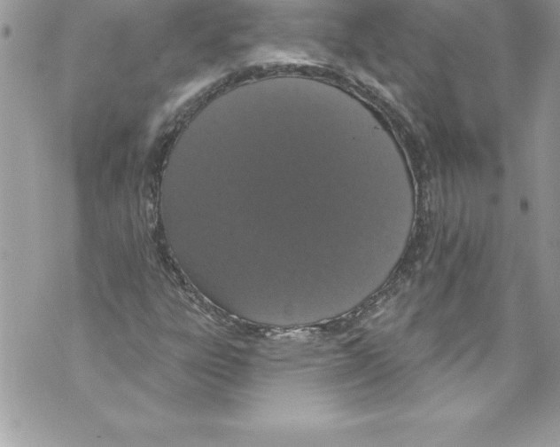 X0000070881303200607150136