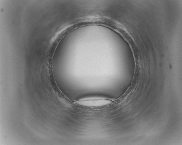 X0000070881304200607150136