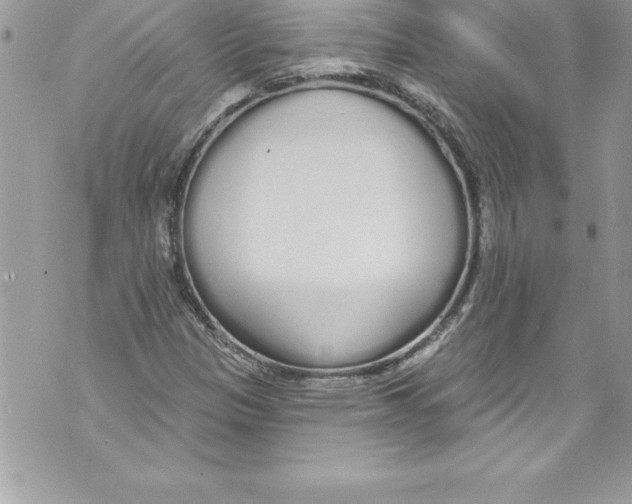 X0000070881305200607150136