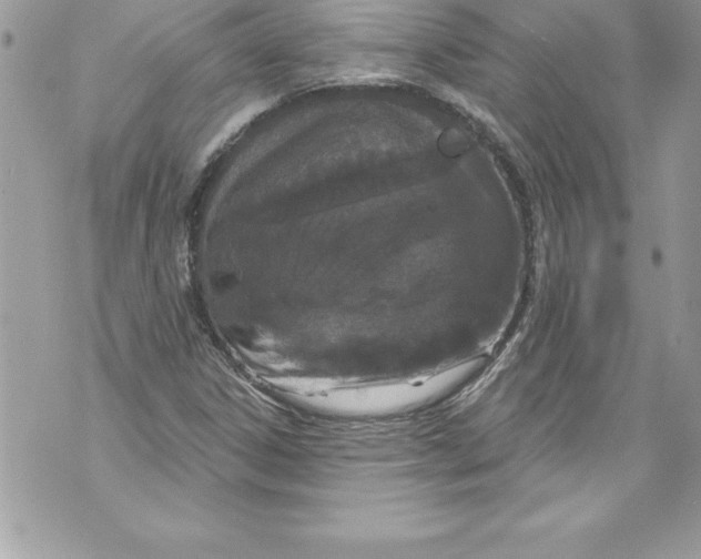 X0000070881306200607150136