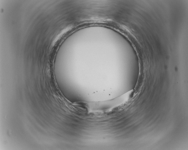 X0000070881307200607150136