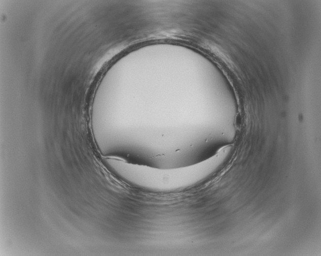 X0000070881308200607150136