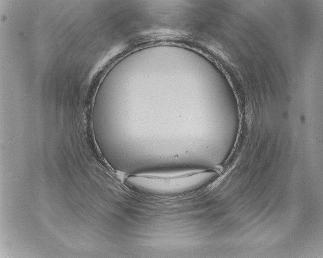 X0000070881309200607150136