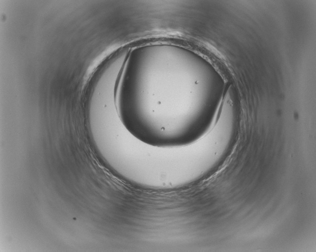 X0000070881310200607150136