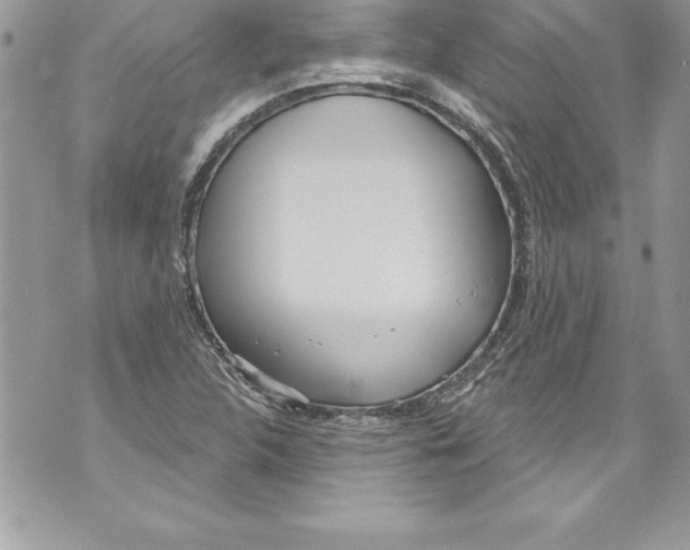 X0000070881312200607150136