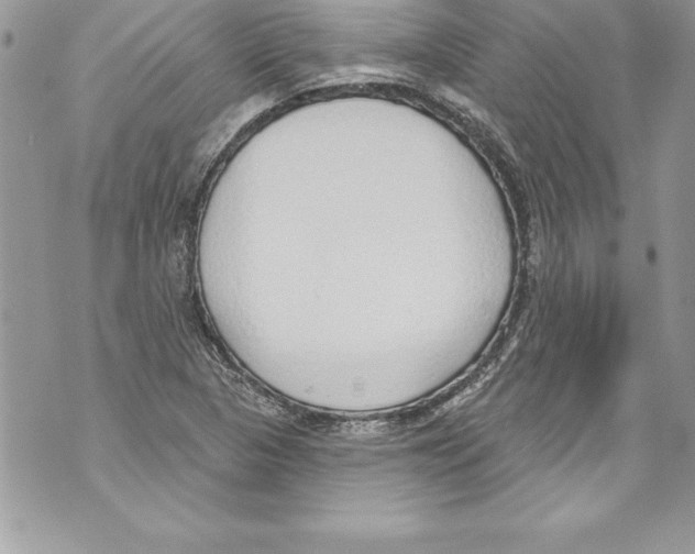 X0000070881313200607150136