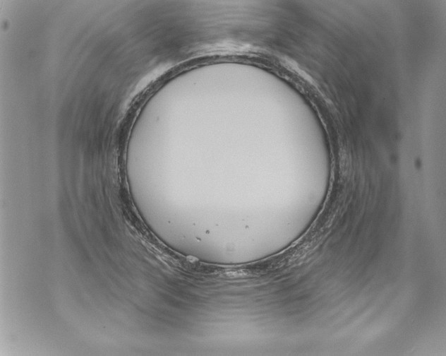 X0000070881315200607150136