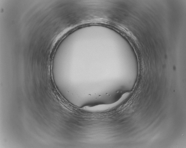 X0000070881316200607150136