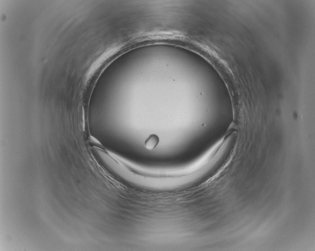 X0000070881317200607150136