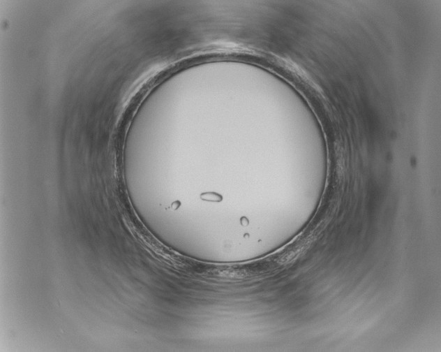 X0000070881318200607150136