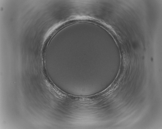 X0000070881319200607150136