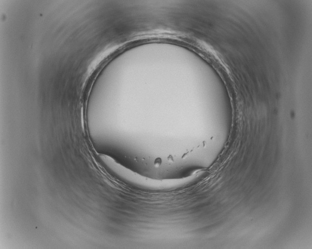 X0000070881320200607150136