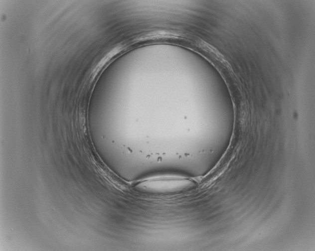 X0000070881321200607150136