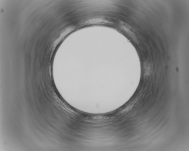 X0000070881322200607150136