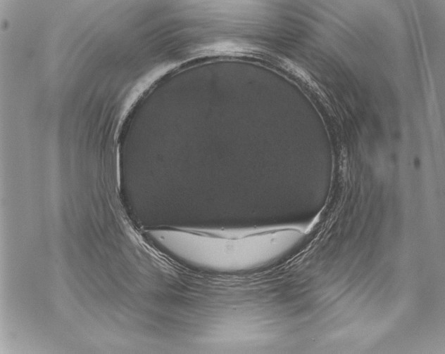 X0000070881323200607150136