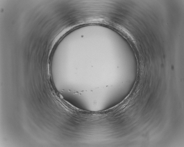 X0000070881324200607150136