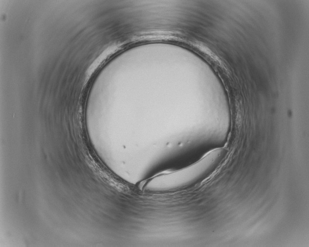 X0000070881325200607150136