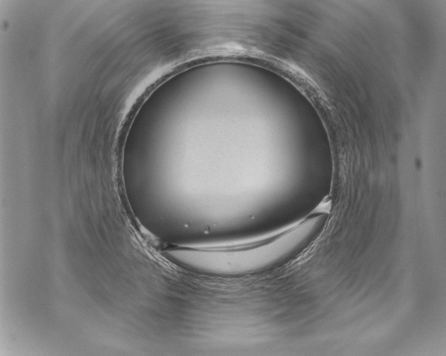 X0000070881326200607150136