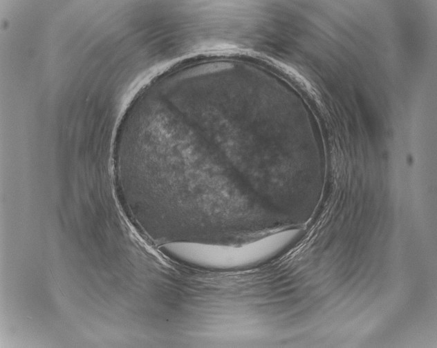 X0000070881327200607150136